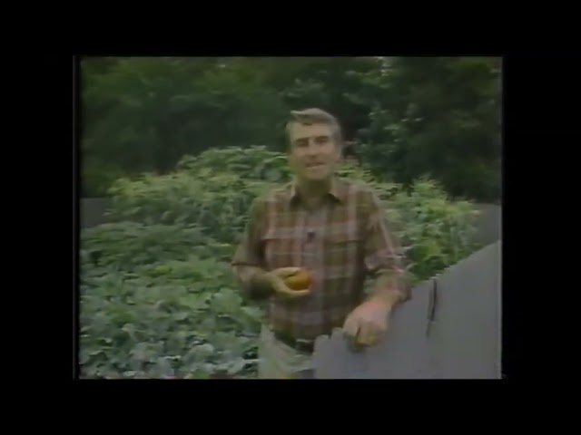 WJCL (NBC, Now ABC) "Joy of Gardening" Promo 1985
