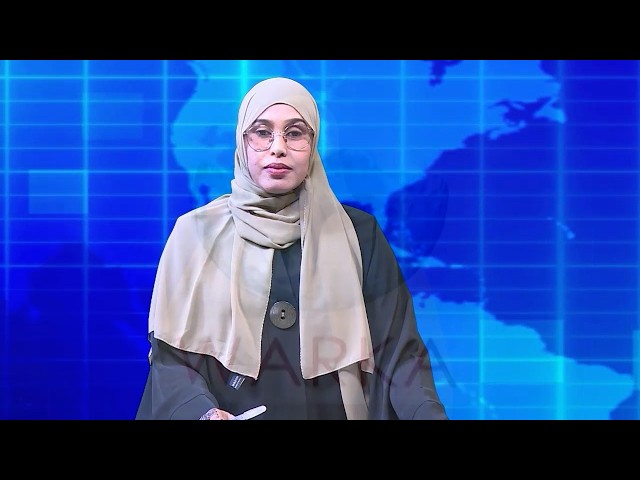 Warka Universal TV  16 02 2026