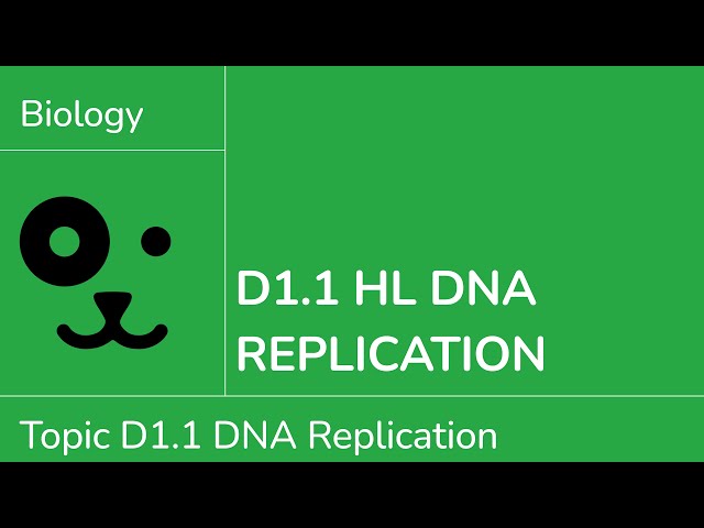 D1.1 HL DNA Replication [IB Biology HL]