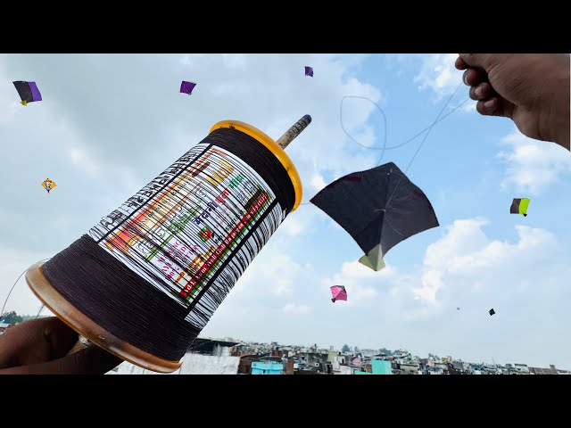 Kite Flying With New * Hindustan No1 * Manjha Testing | Kite Fighting | Kite Cutting | Kite
