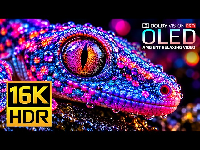 The Sharpest OLED HDR Test Ever | Dolby Vision HDR 16K 120fps (4K Video • 8K Ultra HD TV)