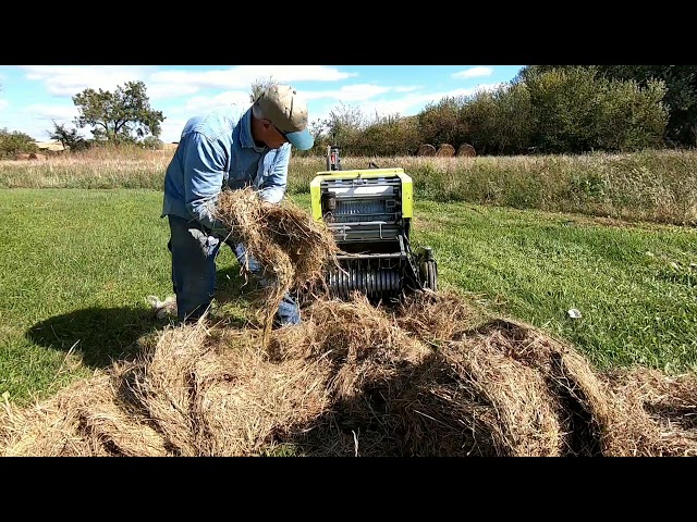 How good are the Caeb hay bales left in the weather?