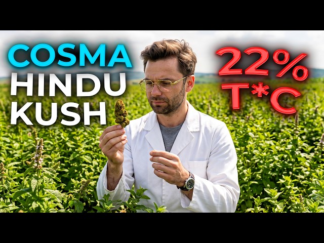 The Laboratory Has Verified Hindu Kush!