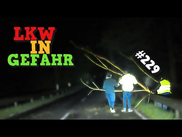 BAUM ragt auf STRAßE & BUS steckt in BAUSTELLE! | Community Cam Folge 229