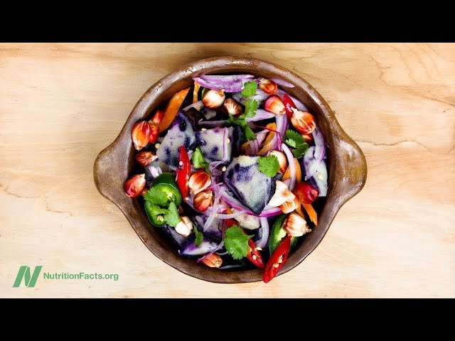 What Is the Optimal Diet?