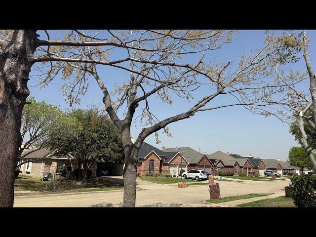 Strong Cold Front With 50 MPH Winds Gusts Hit Frisco TX 3/15/26