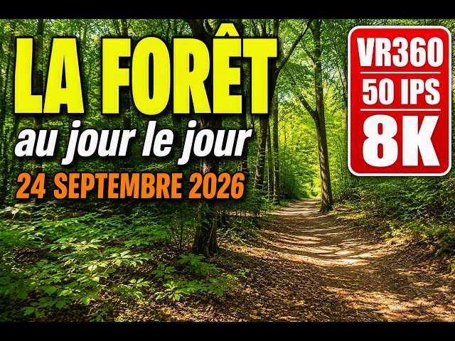 VR360 - The Forest Day by Day - September 24, 2026 360