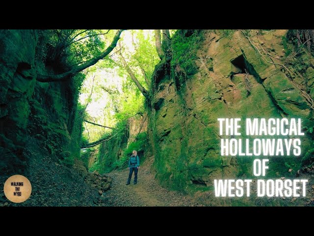 Exploring The Magical Holloways Of West Dorset | Shute's Lane, Hell Lane And Colmer's Hill