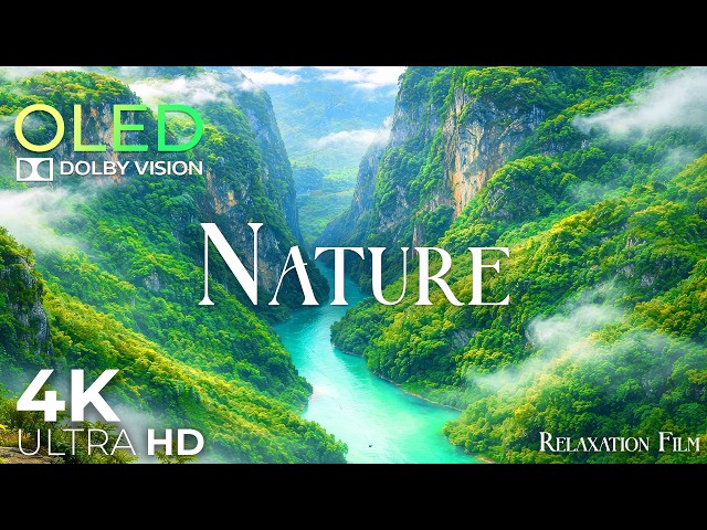 Stream 4K • Nature Relaxation Film Dolby Vision with Peaceful Meditation Music