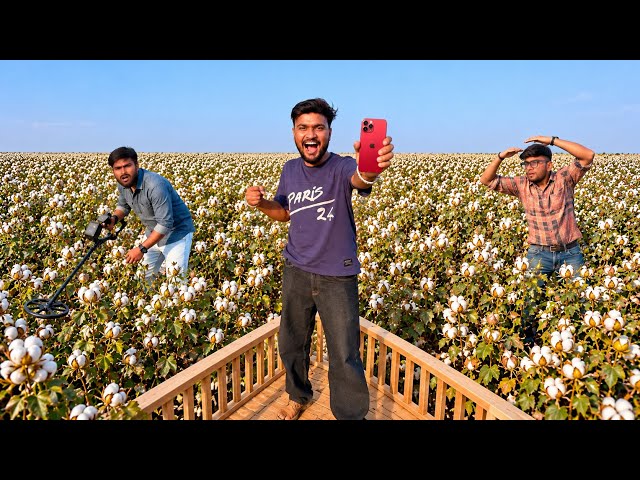 Find The iPhone 17 Pro In Cotton Farm Challenge 📱- Winner Keep It - खेत में आईफ़ोन किसको मिलेगा?