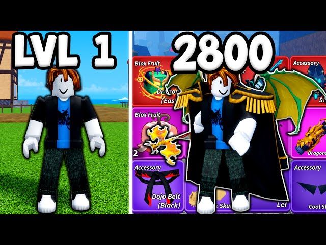 Noob to Max Collecting EVERYTHING in Blox Fruits