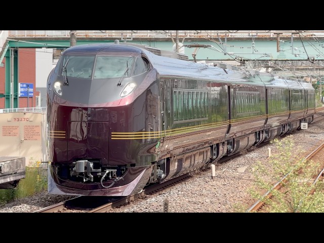 JR東日本E655系オクなごみ編成 柏 通過 2026/09/22