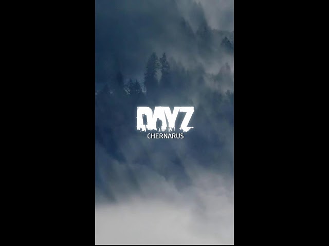 This Is SOLO Stealth Survival On Badlands Nasdara - DayZ 1440p (Portrait)