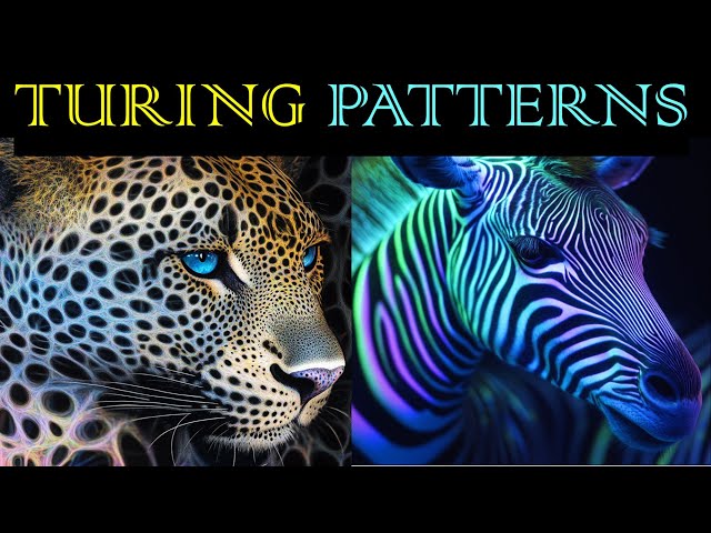 5 Mind-Blowing Turing Patterns Secrets Revealed
