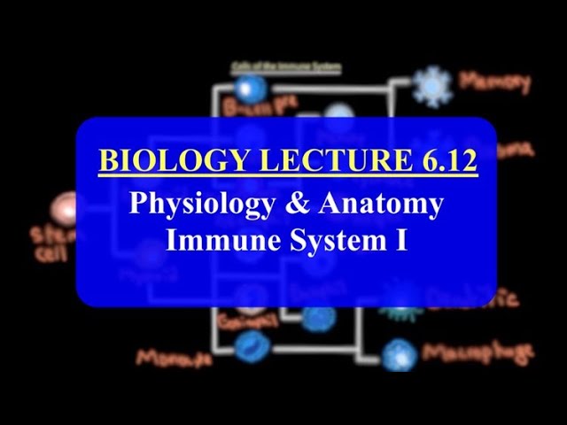 IMAT Biology Lesson 6.12 | Anatomy and Physiology | Immune System Part I