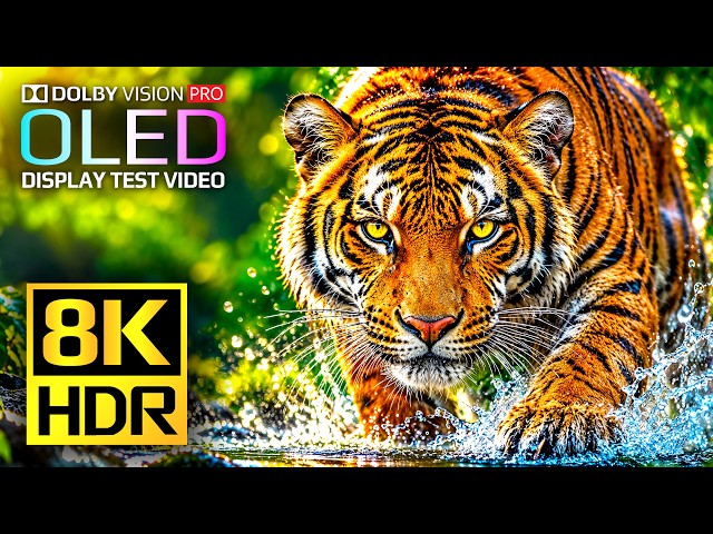 Test Your Display's Limits: 8K HDR 120fps Nature | Dolby Vision Showcase