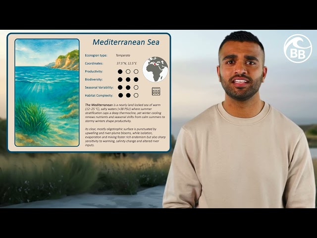 Mediterranean Sea