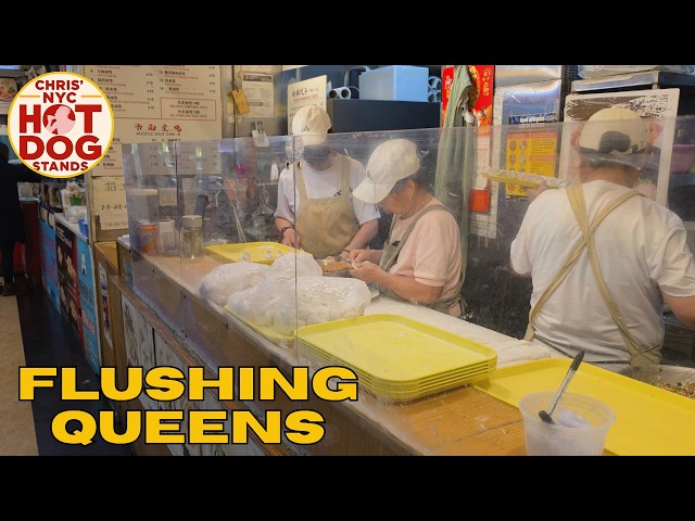 Nor'easter? No Problem!  Let's go to Flushing NY!  | NYC Hot Dog Stands