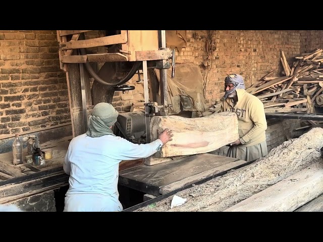 Biggest wooden cutting! Ara Machine cutting 