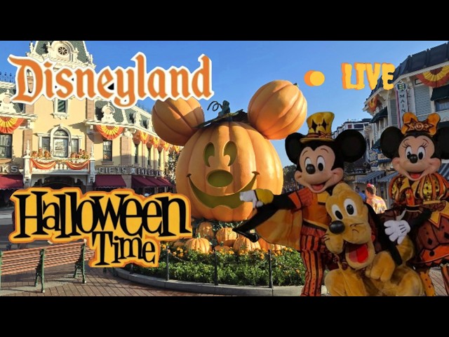 DISNEYLAND Relaxing Fun Day Rides Shows #livestream 🎃