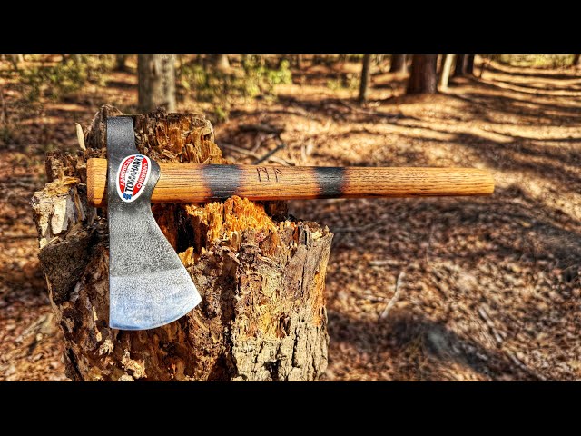 You NEED this Tomahawk! Cold Steel Trail Hawk! #axethrowing #axe #outdoors #review