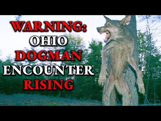 This is Why Ohio Is One of The Hotspots for Dogman Encounters #dogman #werewolfstory