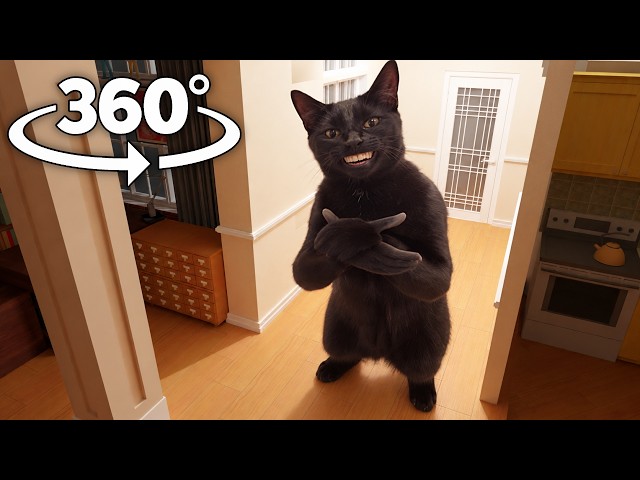Clapping Cat 360° in YOUR HOUSE! VR 4K
