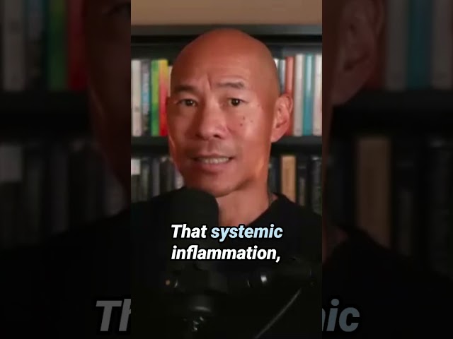 How Does Leaky Gut Trigger Systemic Inflammation?