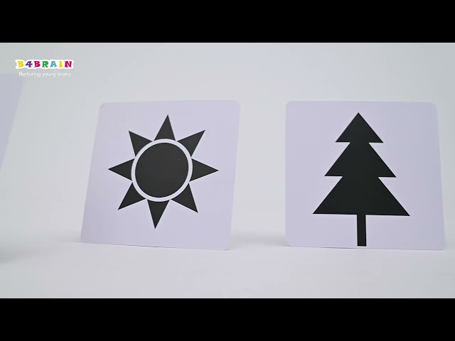 NEWBORN FLASH CARDS SET DEMONSTRATION VIDEO | B4BRAIN#demovideo #baby #toys #braindevelopment