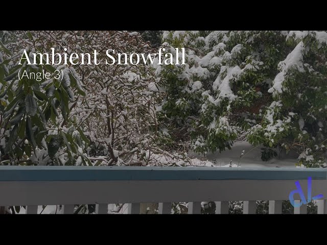 Ambient Snowfall (Angle 3) | 4K | HDR | Dolby Vision
