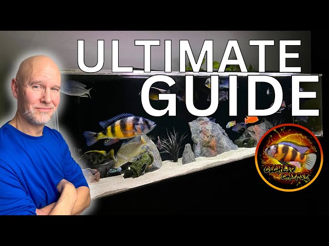 STEP by STEP | Setting Up Peacock & Hap AFRICAN CICHLID Tank
