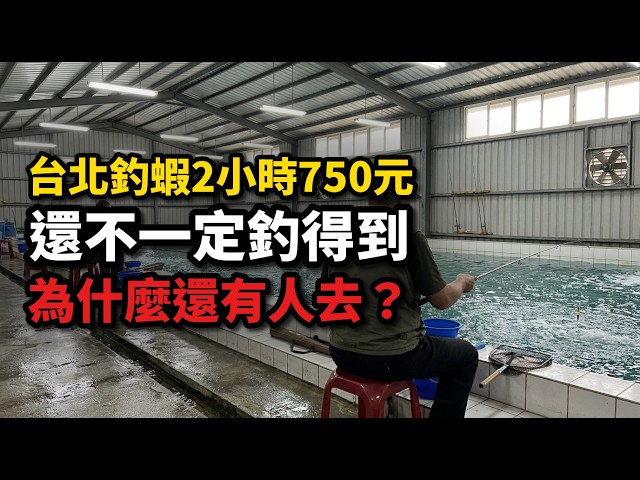 2 Hours for NT$750, No Guaranteed Catch: Why Taiwan's 300+ Shrimp Fishing Spots Survive