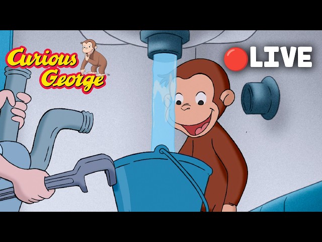 🔴 LIVE Curious George Episodes 🐵 Plumber George To The Rescue! 🛠️🛁  + MORE Episode Clips! 🐵