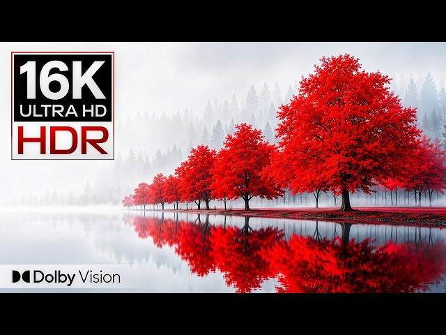 BREATHTAKING VISUALS Dolby Vision® | 16K HDR 120fps (8K/4K Video TV)