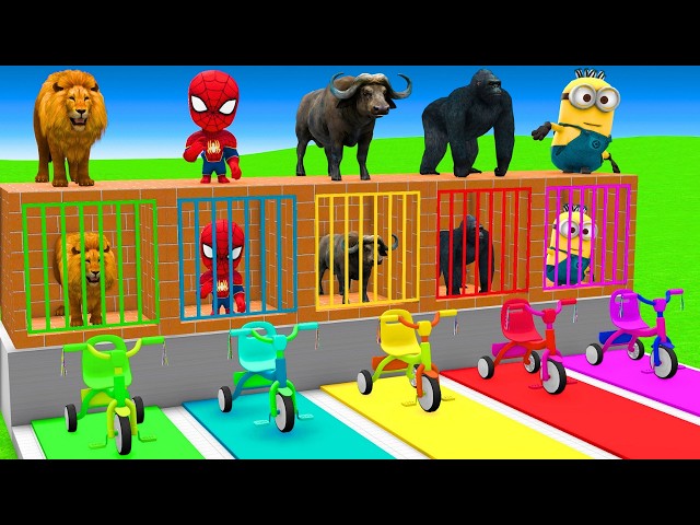 5 Giant Duck Cartoon,Cow,Elephant,Tiger,Lion,Dinosaur,Paint Wild Animals Crossing Fountain Animation
