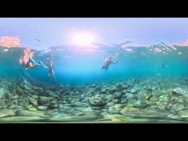360° Underwater Flow – Swimming with Fins and Mask