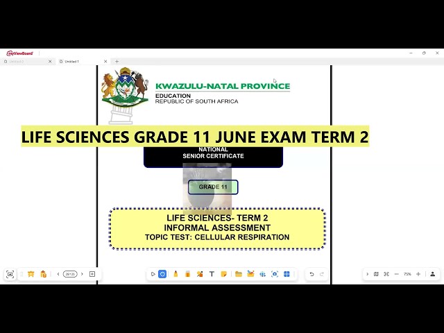 Life Sciences Grade 11 Cellular Respiration June Exam Term 2