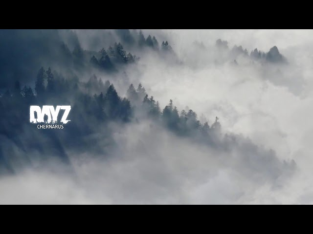 This Is SOLO Stealth Survival On Badlands Nasdara - DayZ 1440p
