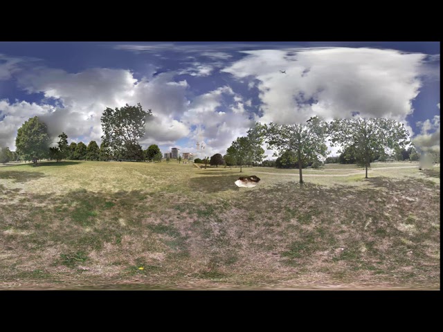 burgess park VR2 Output