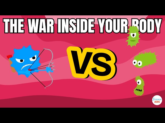 Immune System: Innate and Adaptive Immunity Explained