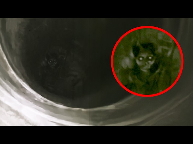 Really Scary Videos Caught By Scared Folks