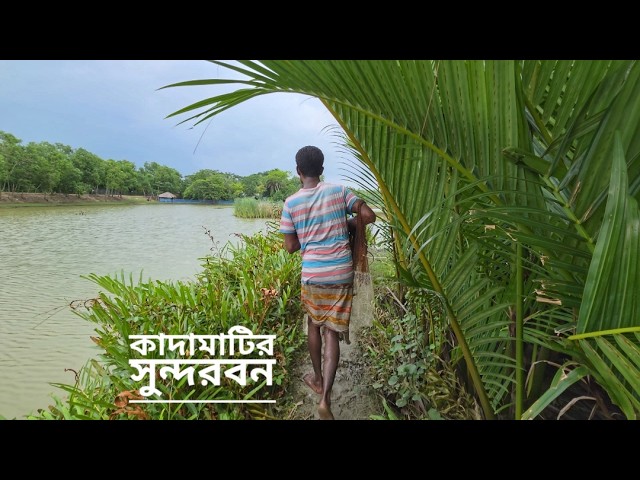 কাদা মাটির সুন্দরবনে, ঘরে ঘরে | সিজন ৪০ | পর্ব ১০ | সুন্দরবন জীবন | Mohsin ul Hakim