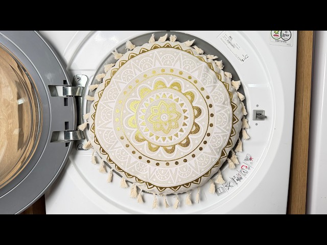 Experiment - Hypnotizing Pillow in a  Washing Machine