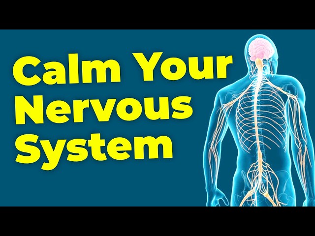 5 Minute Nervous System Reset That Actually Works