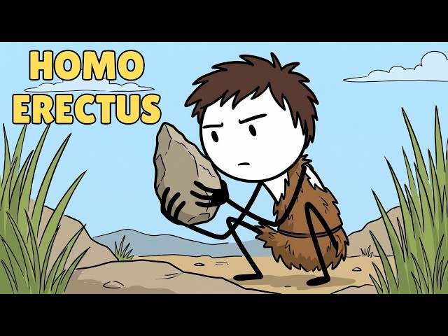 Homo Erectus - Ancient Human
