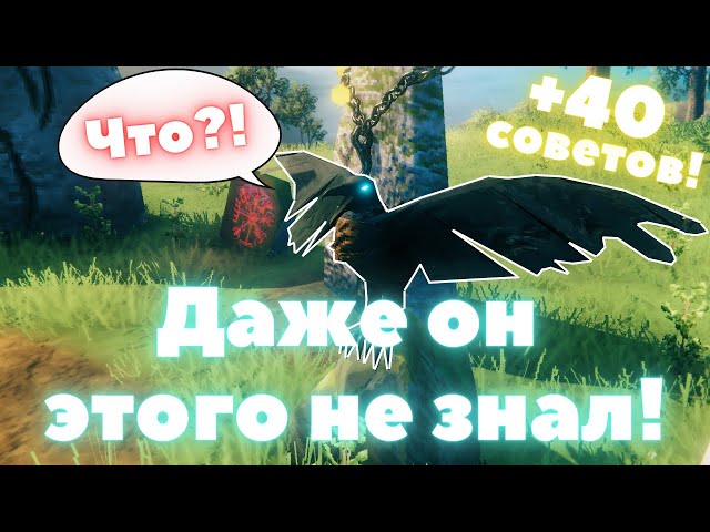 +40 СОВЕТОВ и СЕКРЕТОВ! 💡 в Valheim! 🎮