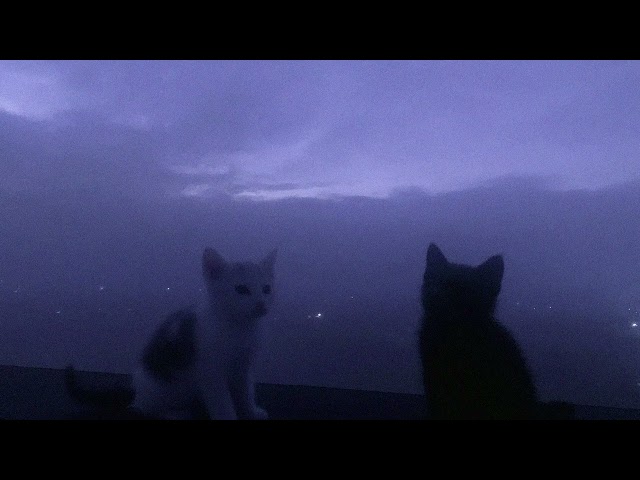 go to sleep, you need it.