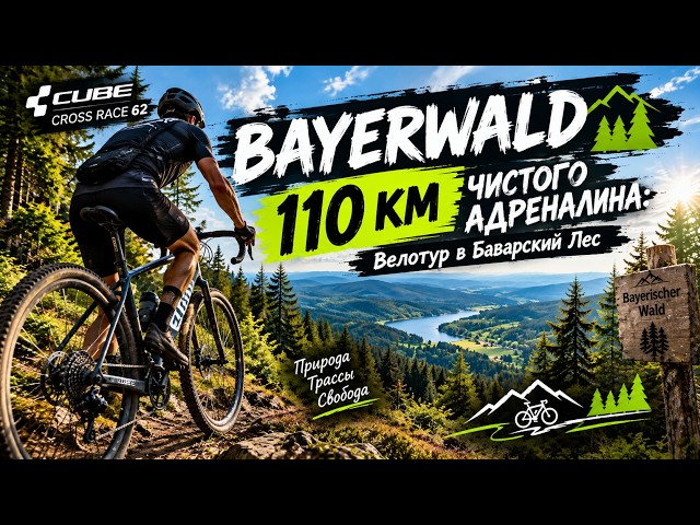 Bayerwald -110 км ЧИСТОГО АДРЕНАЛИНА: Велотур в Баварский Лес 🌲