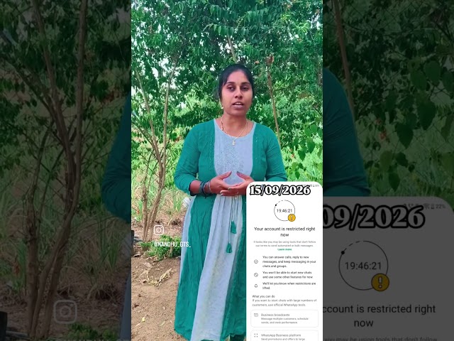 WhatsApp restricted, please wait for a reply; for quick orders, go to www.gtsnursery.com