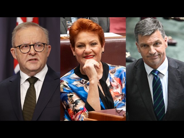 ‘Totally different offer’: One Nation pitches alternative to major parties